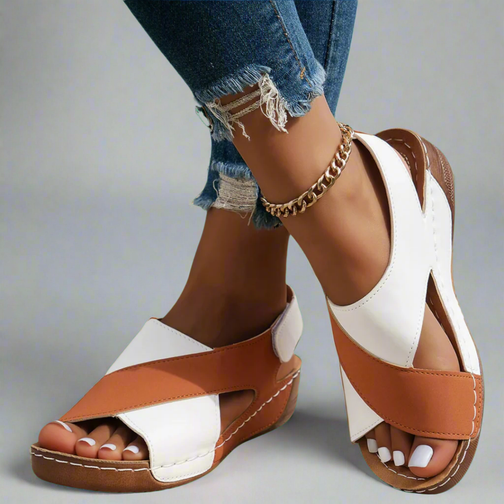 Marron / 36