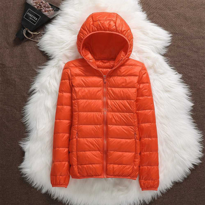 https://cdn.shopify.com/s/files/1/0860/8576/3404/files/3_969db897-b1a6-4200-bdf1-68439aff420e.png?v=1743709559