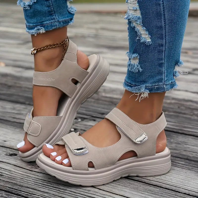 Kaki / 36