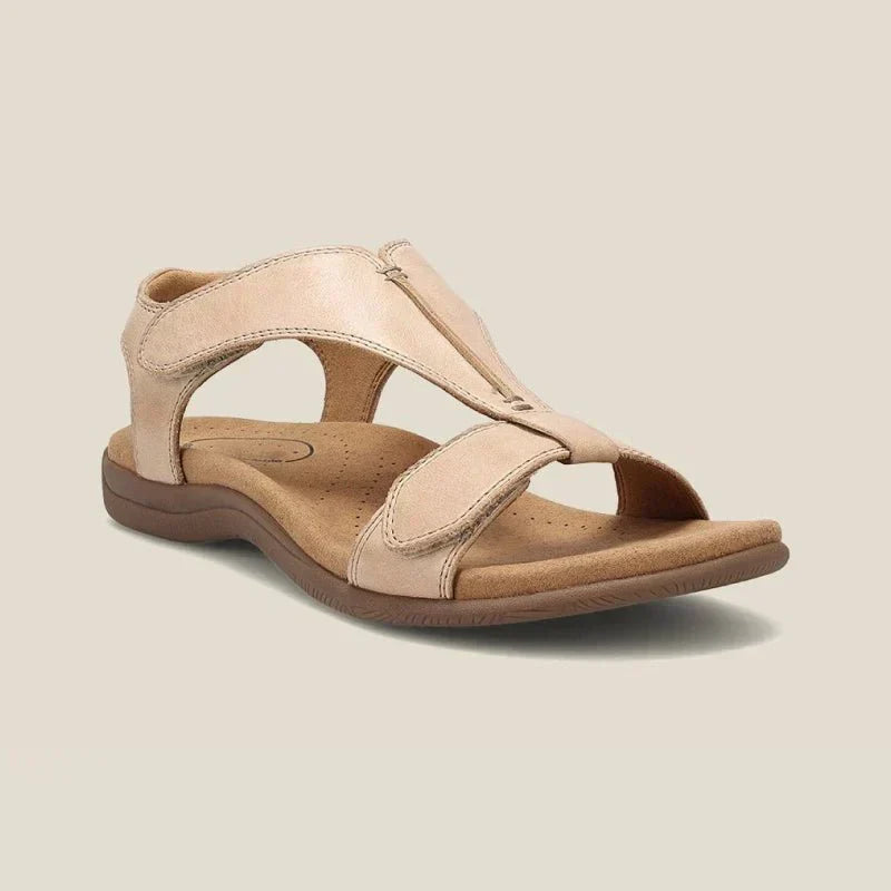 Beige / 35
